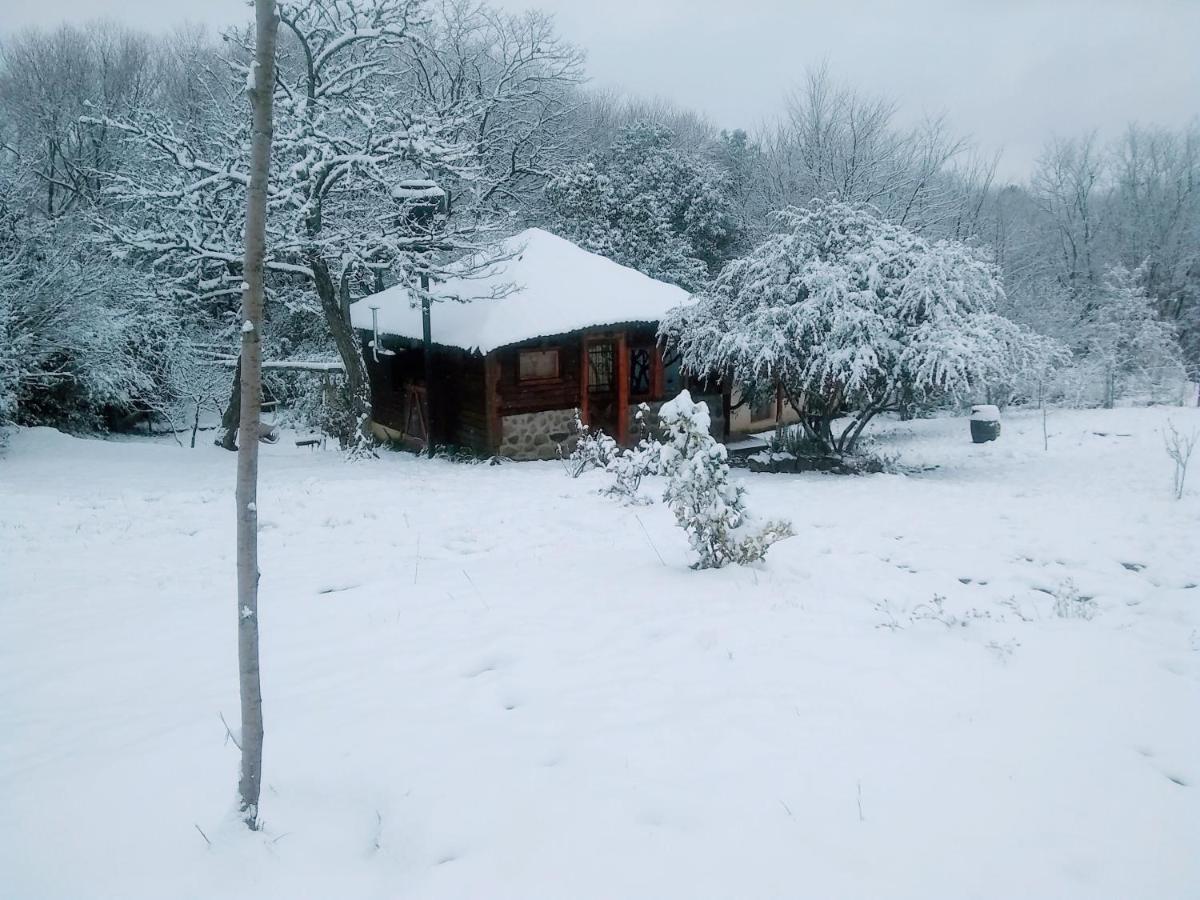 De Altura Tierra Agreste Villa Yacanto