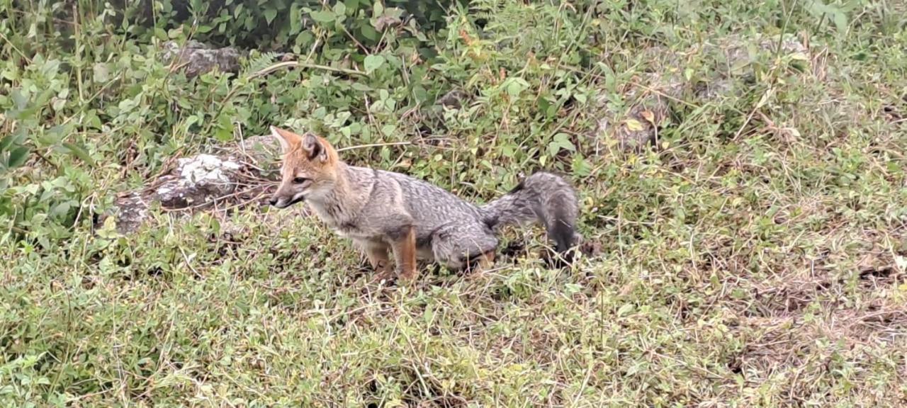 De Altura Tierra Agreste Casa de Férias Villa Yacanto